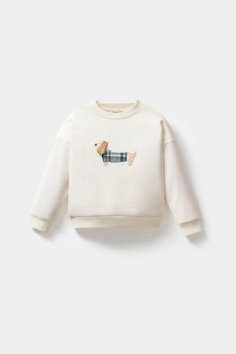 Köpek Nakışlı Pamuk Ekose Erkek Çocuk Takım